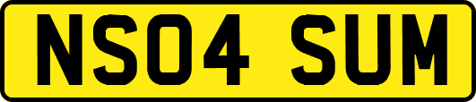 NS04SUM