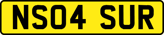 NS04SUR