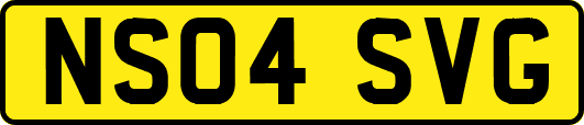 NS04SVG