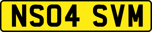 NS04SVM