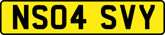 NS04SVY