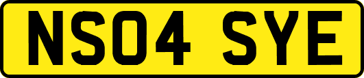 NS04SYE
