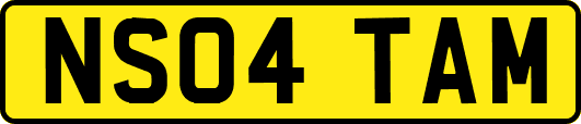 NS04TAM