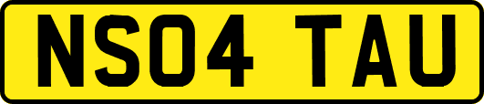 NS04TAU