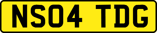 NS04TDG