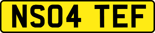 NS04TEF