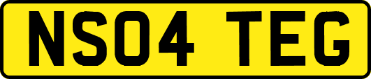 NS04TEG