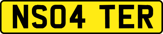 NS04TER