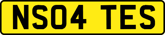 NS04TES