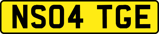 NS04TGE