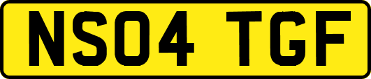 NS04TGF