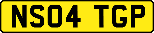 NS04TGP