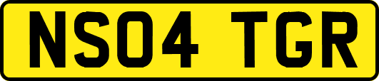 NS04TGR