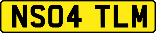 NS04TLM