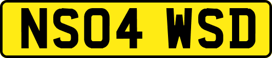 NS04WSD