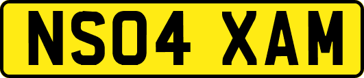 NS04XAM