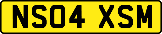 NS04XSM