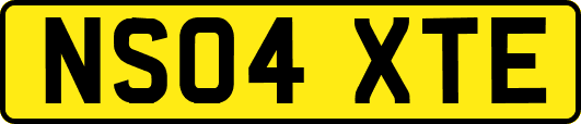 NS04XTE
