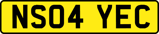 NS04YEC