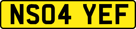 NS04YEF