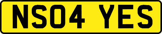 NS04YES