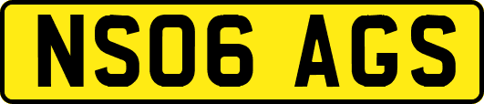 NS06AGS