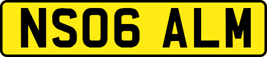 NS06ALM