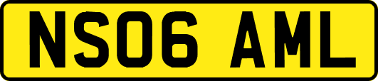 NS06AML