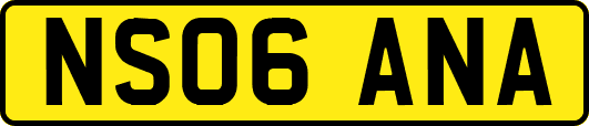 NS06ANA