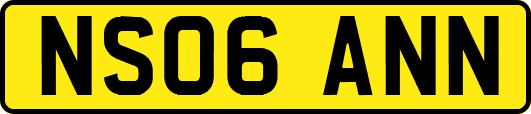 NS06ANN
