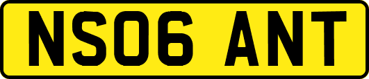 NS06ANT