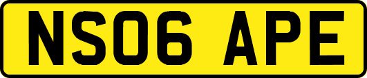 NS06APE