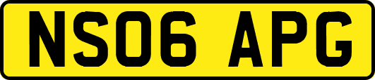 NS06APG
