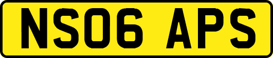 NS06APS