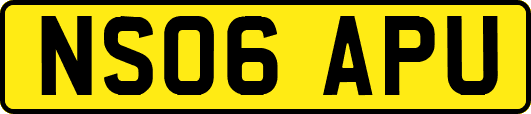 NS06APU
