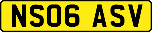 NS06ASV