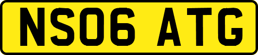 NS06ATG