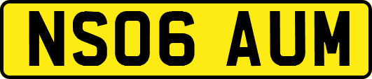 NS06AUM
