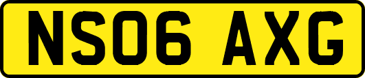NS06AXG