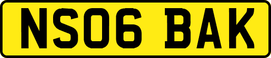 NS06BAK