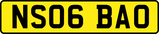 NS06BAO