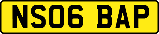 NS06BAP