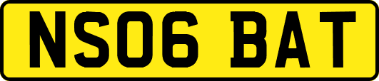 NS06BAT