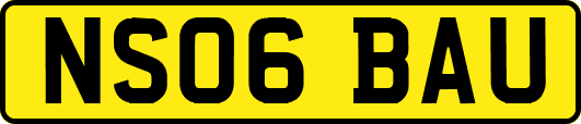 NS06BAU