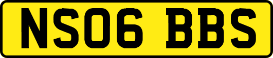 NS06BBS