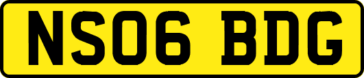 NS06BDG