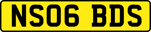 NS06BDS