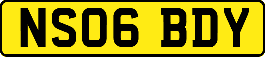NS06BDY