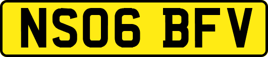 NS06BFV