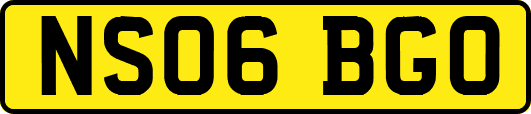 NS06BGO